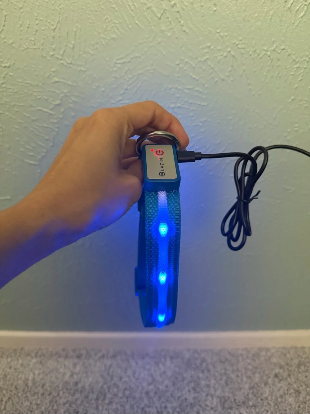 LED Blue Light Dog Collar bundle